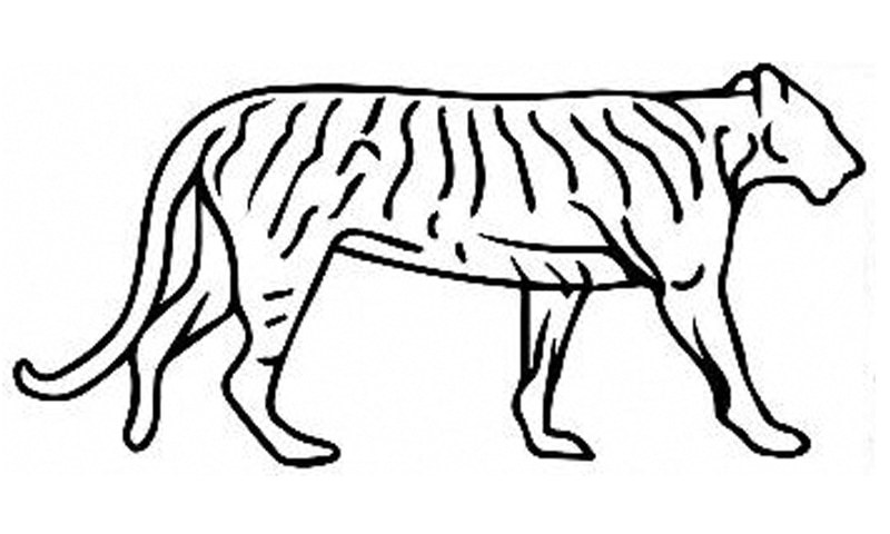 800x480 Petrol Shortage And Asian Tiger