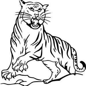 300x300 A Classic Illustration Of Asian Tiger Coloring Page A Classic