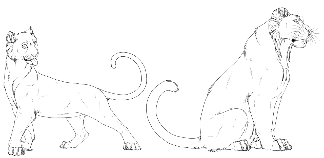 1280x625 If You'Re Confused On Any Aspect Of The Lineart, Or Are Having