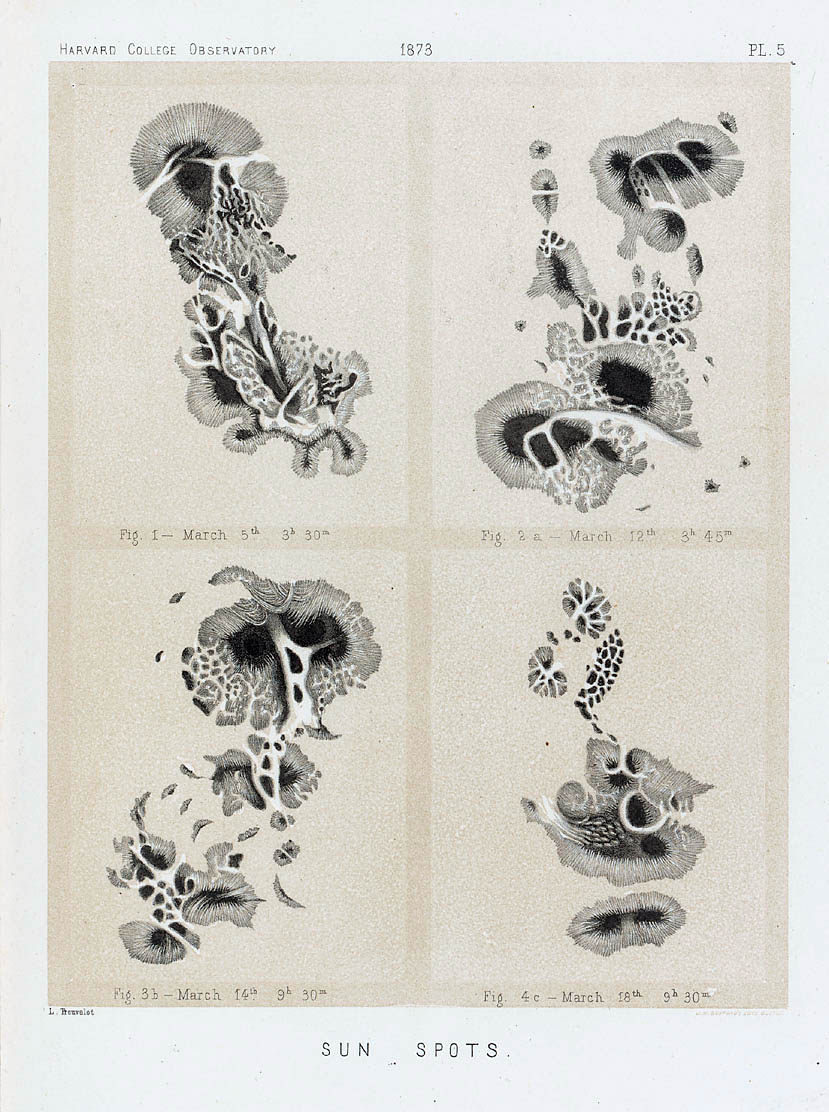 829x1112 The Trouvelot Astronomical Drawings