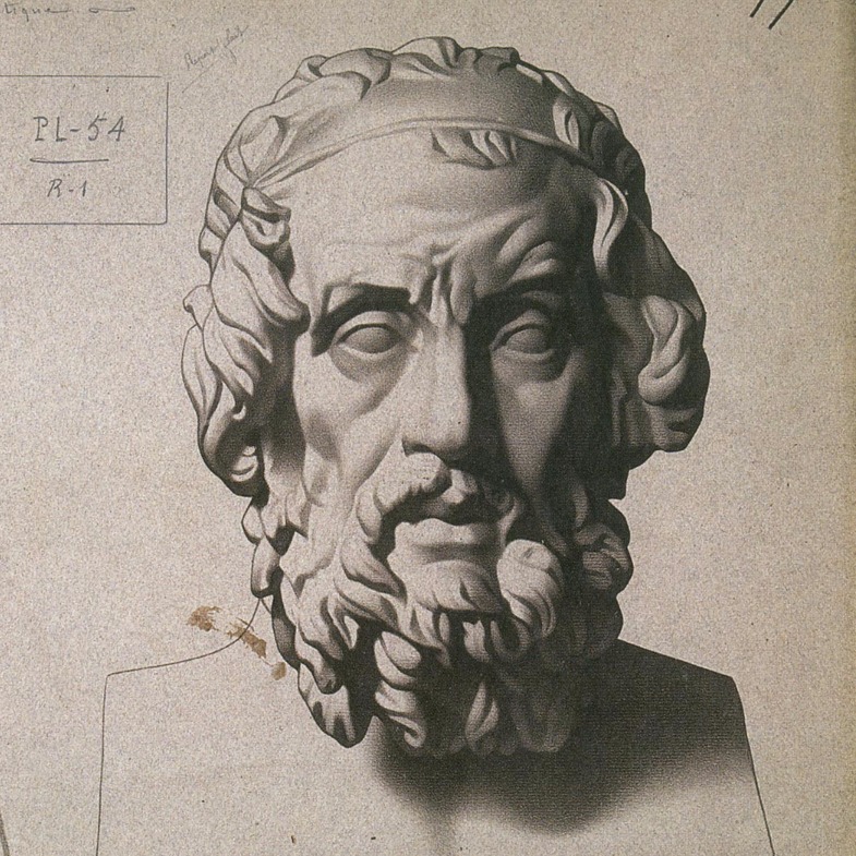 785x785 Renaissance Drawing Atelier