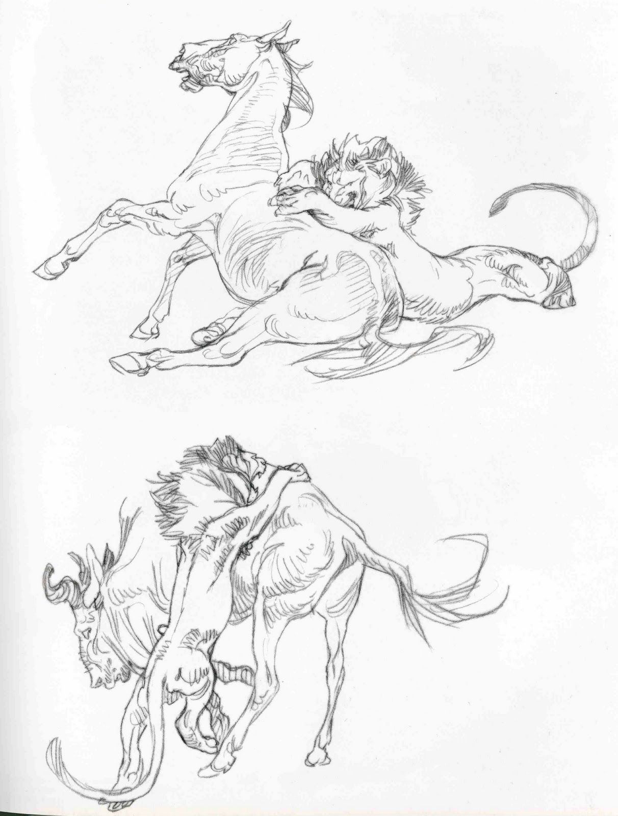 1212x1600 Wendling lion attack 1.jpg Sketching