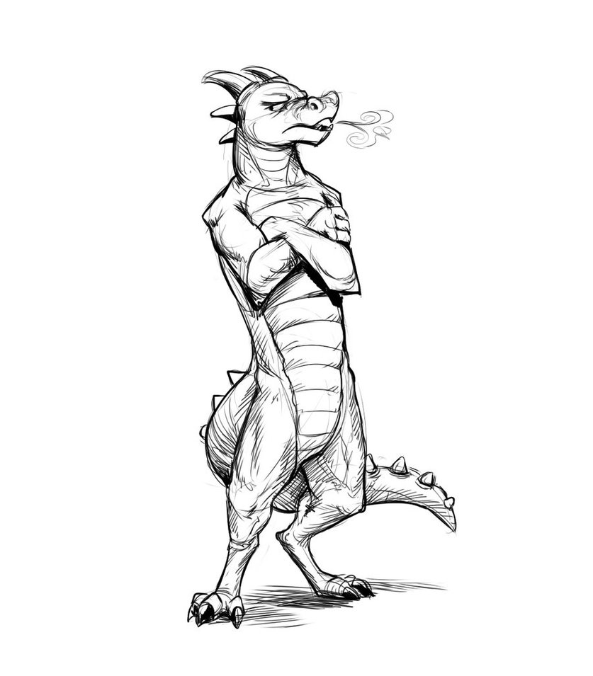 837x955 Dragon With Attitude By Temiree