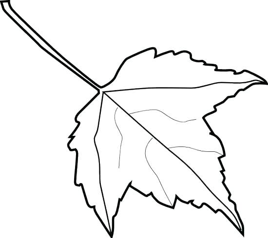 550x489 Fall Leaves Outline S Leaf Autumn Leaf Clipart Outline