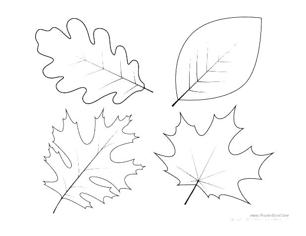 618x478 Leaf Outlines Free Kids Crafts Leaf Outlines To Trace Free Leaf