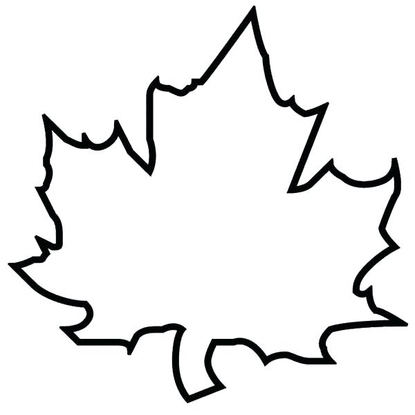 Autumn Leaf Outline Drawing at GetDrawings | Free download