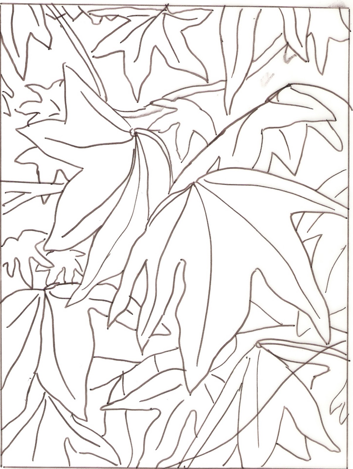 1204x1600 Arty Crafty Studio Autumn Leaves (Liquid Amber) In Pastel