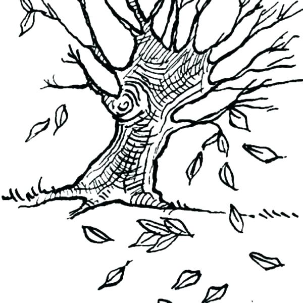 600x600 Autumn Leaf Coloring Page Twisty Noodle Autumn Leaf Outline Vector