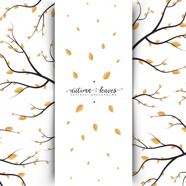 626x626 Autumn Vectors, Photos And Psd Files Free Download