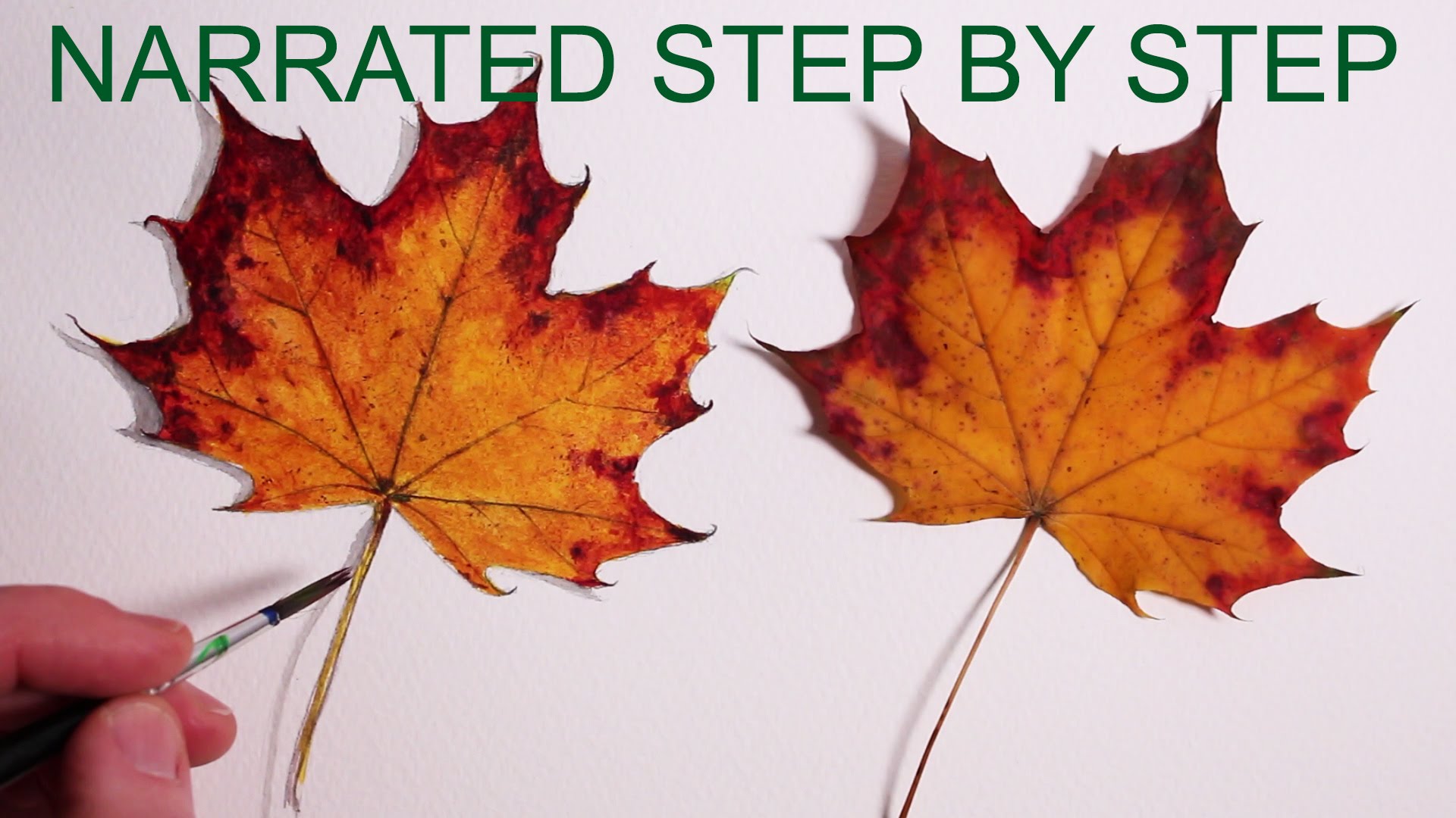 1920x1080 How To Draw A Leaf Narrated Step By Step