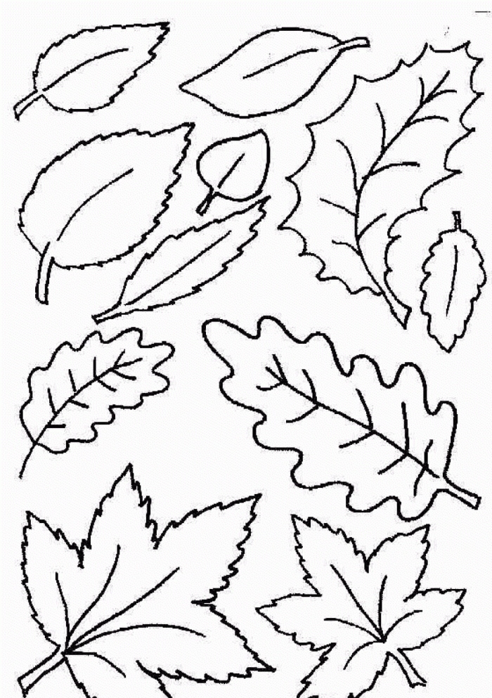 700x993 Fall Leaves Coloring Pages Unique Autumn Leaves Coloring Page Az