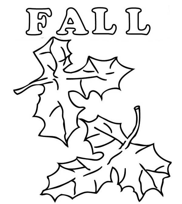 600x670 How To Draw Autumn Leaves Coloring Page Color Luna