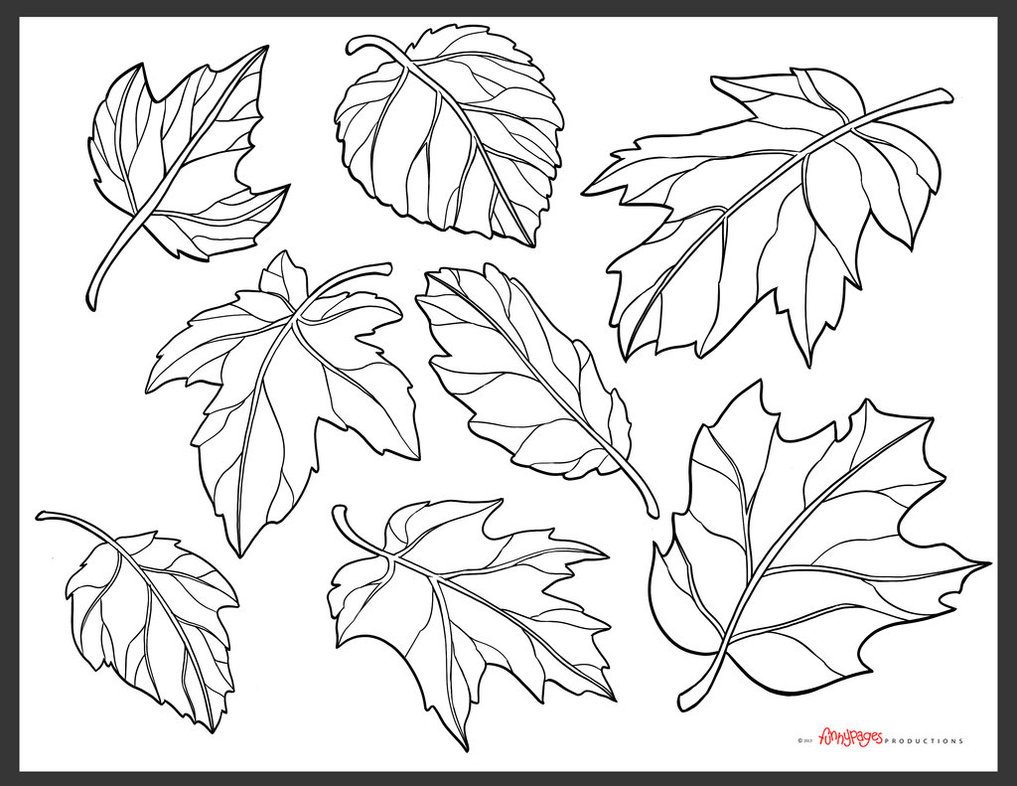 1017x786 Collection Of Fall Leaves Line Drawing High Quality, Free