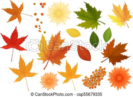 450x330 Beautiful Colourful Realistic Autumn Leaves And Flowers Set