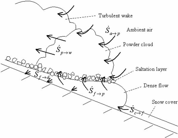598x462 Diagram Showing The Components And Exchanges In A Mixed Flowing
