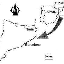211x211 Map The Pizzac Avalanche Path (Scale 110000, Equidistance