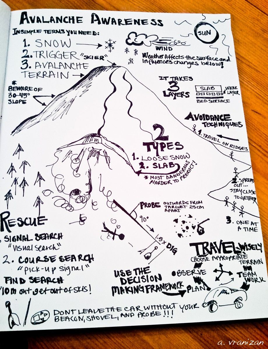 920x1196 Annie's Visual Guide To Avalanche Survival Art