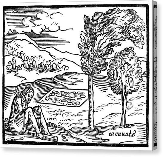 546x526 Aztec Woman Canvas Prints