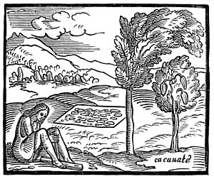 300x252 Aztec Woman Paintings Fine Art America