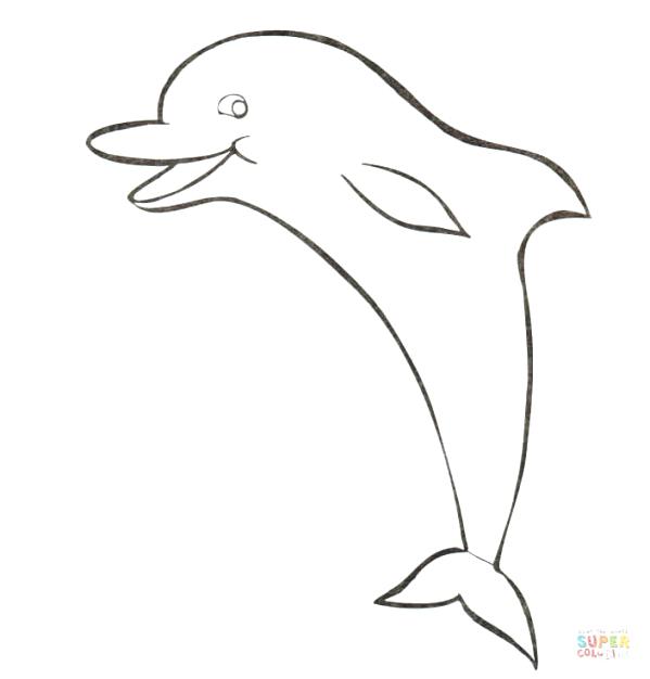 599x626 Dolphin Color Page Dolphins Coloring Pages Free Coloring Pages