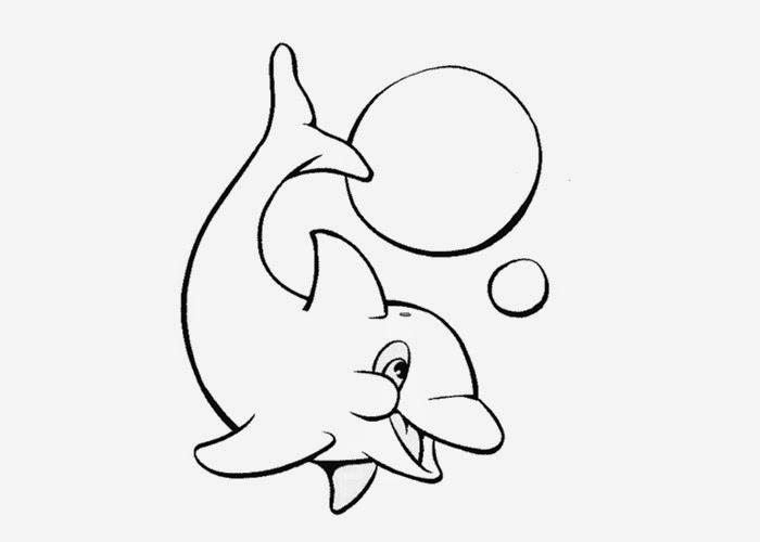 700x500 Dragoart Dolphin Coloring Pages