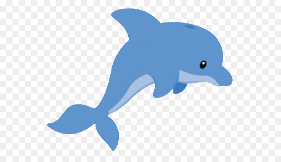 900x520 Dolphin Drawing Clip Art