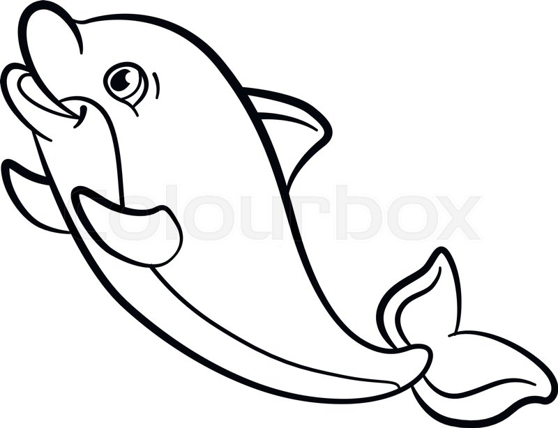 800x614 Coloring Pages. Marine Wild Animals. Little Cute Baby Dolphin