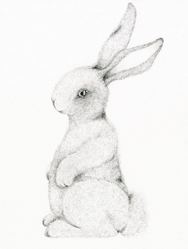 604x800 Bunny Rabbit Art Print Drawing Of A Bunny Rabbit Easter Decor