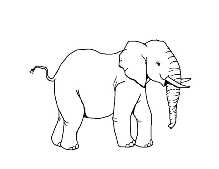 700x541 Elephant Coloring Page Pattern For Baby Shower