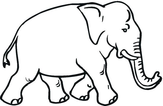 550x358 Elephant Free Printable Elephant Coloring Pages Free Printable