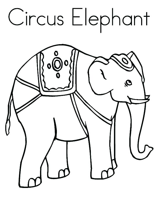600x776 African Elephant Coloring Pages Elephant Pictures To Color