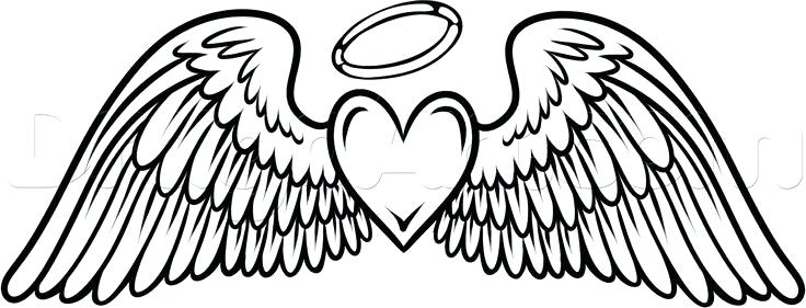736x281 Angel Wings Silhouette New Angel Wings Silhouette Vector Design