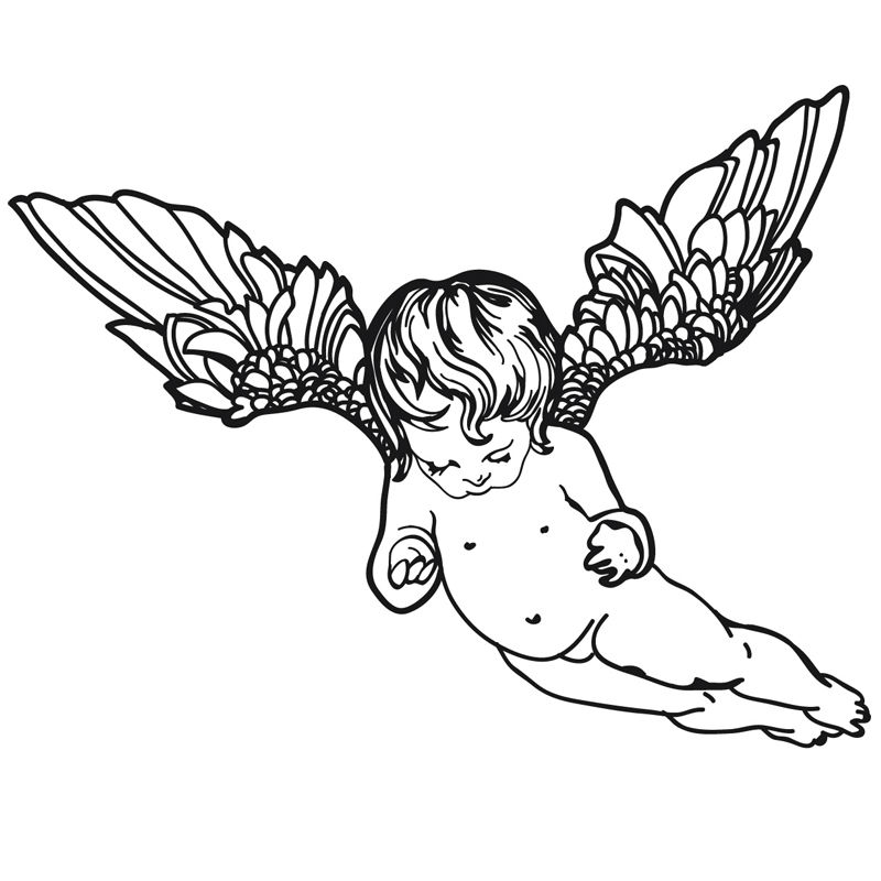 800x800 Collection Of Flying Baby Angel Drawing High Quality, Free