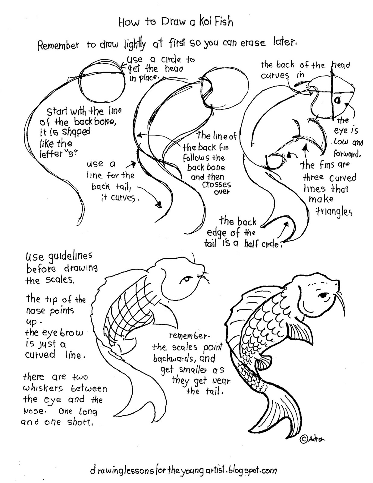 1238x1600 How To Draw A Koi How To Draw Worksheets For The Young Artist