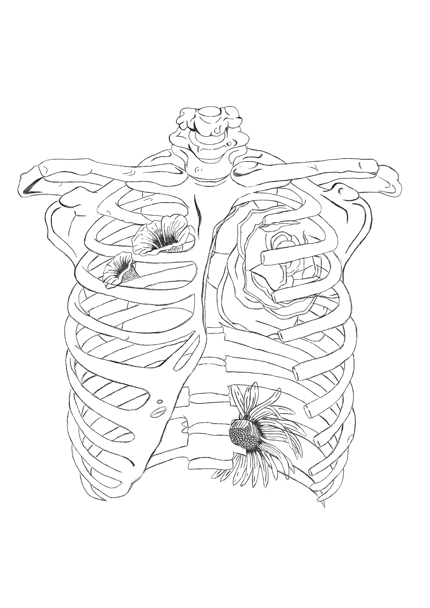 1400x1979 The Anatomy Of Me On Behance