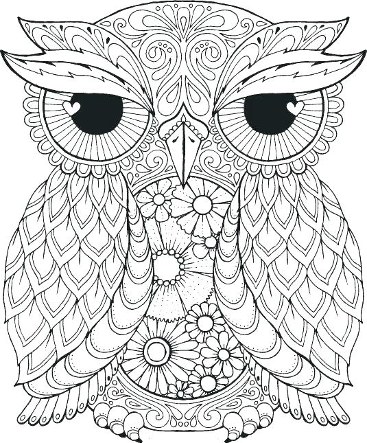 535x645 Owl Printable Coloring Pages Coloring Pages Of Owls For Adults Owl