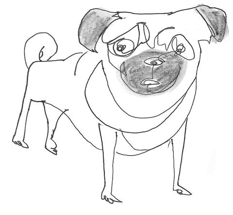 480x443 Some Dogs I Know