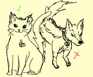 300x250 Good Cat Bad Dog