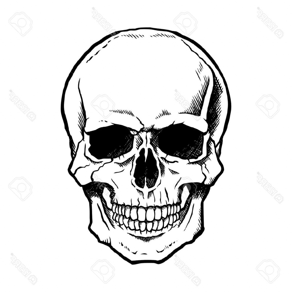 1024x1024 Simple Skull Drawing Copy Side Google Search Survivor Ideas