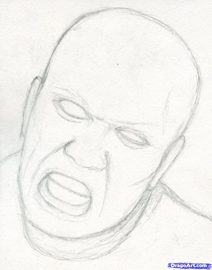 736x935 The 31 Best Bailey Images On To Draw, How To Draw