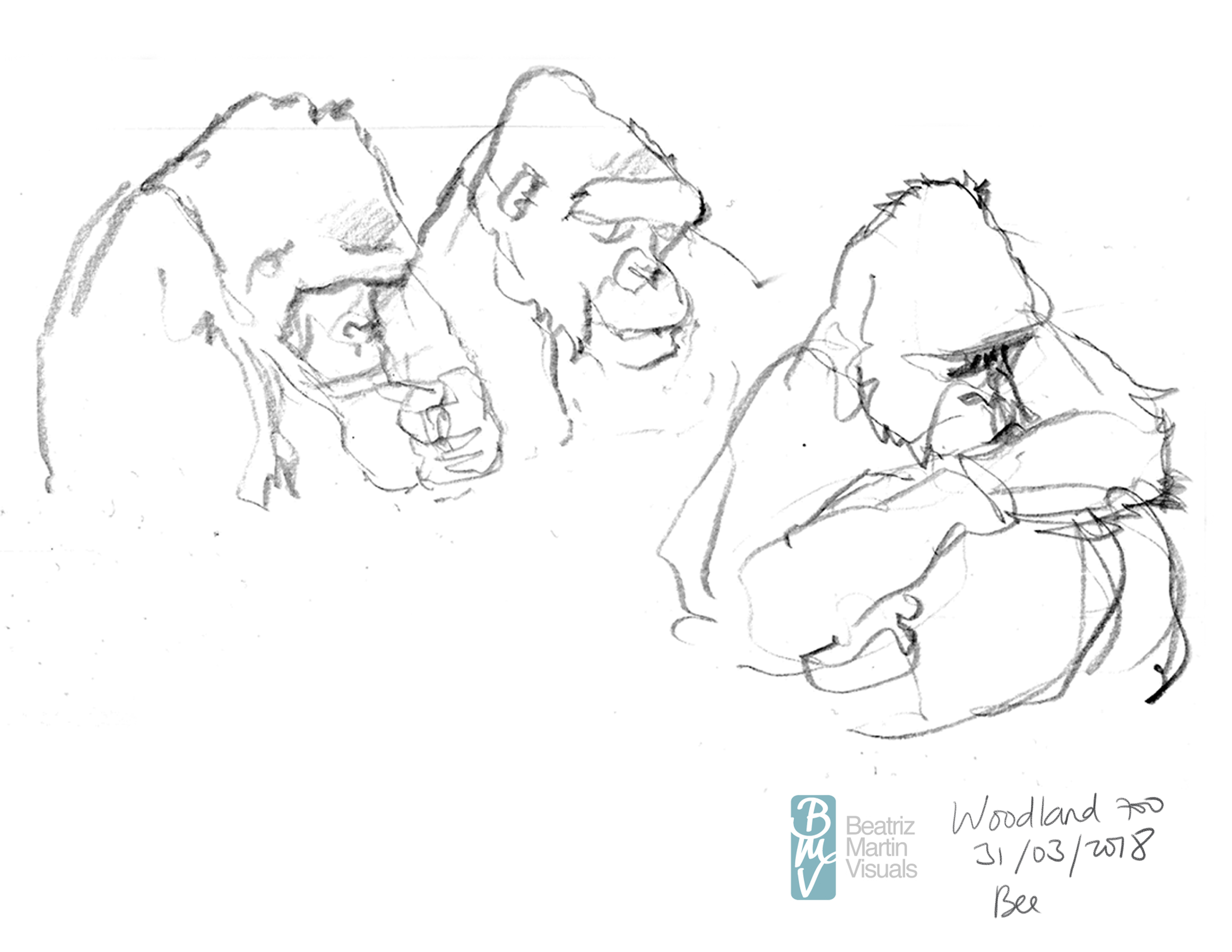 3300x2550 Life Drawing