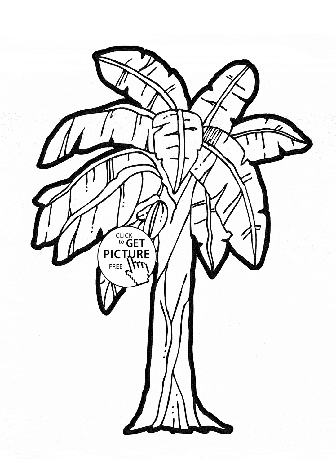 1084x1480 Drawing Sketch Of Banana Tree Banana Tree Coloring Page