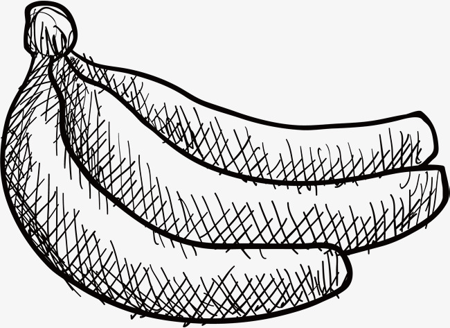 650x473 Vector Sketch Banana, Banana, Vector Diagram, Hand Drawing Png