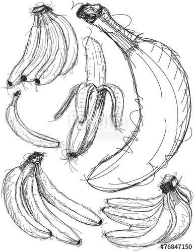 387x500 Banana Sketches Stock Image And Royalty Free Vector Files