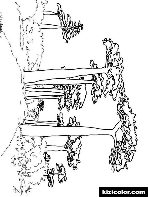 600x800 Baobab Tree 4