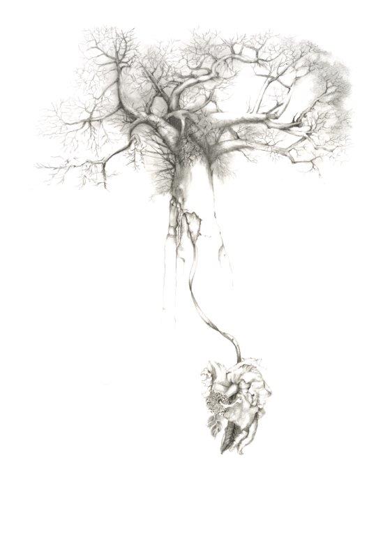 549x768 Drawing Amp Ceramic Art L Erna Dry South African Artist L The Art