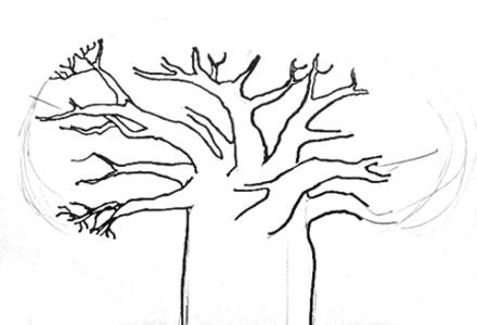 440x300 How To Draw A Baobab Tree