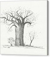 163x186 Lone Baobab Tree Canvas Print Canvas Art By Coral Bell