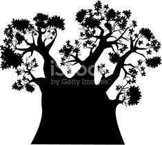 235x210 Baobab Tree