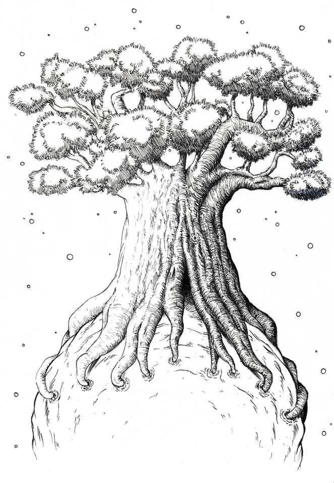 662x957 Baobab Domestika